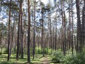Parduodamas šviesus ir jaukus dviejų kambarių - nuotraukos Nr. 17