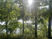 Parduodamas Namas Radailiuose Ant Laukžemės - nuotraukos Nr. 21