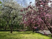 Nuo Rugsėjo mėn išnuomojamas namas Raudondvaryje. - nuotraukos Nr. 14