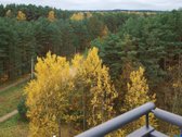 Jonažolių g. 9, Lazdynėliuose, nuomojamas - nuotraukos Nr. 13