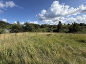 Parduodami 3 Namų Valdos Sklypai Dėdeliškių K - nuotraukos Nr. 7