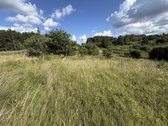 Parduodami 3 Namų Valdos Sklypai Dėdeliškių K - nuotraukos Nr. 11