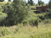 Parduodami 3 Namų Valdos Sklypai Dėdeliškių K - nuotraukos Nr. 15