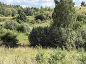Parduodami 3 Namų Valdos Sklypai Dėdeliškių K - nuotraukos Nr. 16