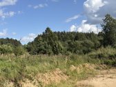 Parduodami 3 Namų Valdos Sklypai Dėdeliškių K - nuotraukos Nr. 30