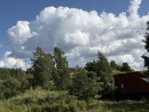 Parduodami 3 Namų Valdos Sklypai Dėdeliškių K - nuotraukos Nr. 31