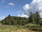 Parduodami 3 Namų Valdos Sklypai Dėdeliškių K - nuotraukos Nr. 32