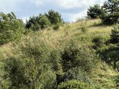 Parduodami 3 Namų Valdos Sklypai Dėdeliškių K - nuotraukos Nr. 33