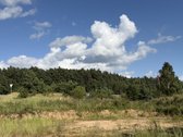 Parduodami 3 Namų Valdos Sklypai Dėdeliškių K - nuotraukos Nr. 35