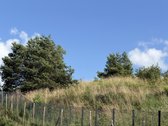 Parduodami 3 Namų Valdos Sklypai Dėdeliškių K - nuotraukos Nr. 37