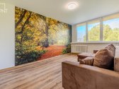 Parduodamas tvarkingai įrengtas 2 kambarių - nuotraukos Nr. 5