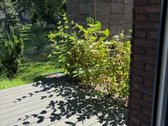 Butas miesto centre su cinkeliu. Sėdint - nuotraukos Nr. 10