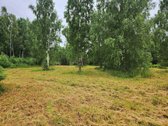 Be tarpininkų parduodami besiribojantys - nuotraukos Nr. 9