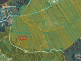 Parduodamas Žemės Ūkio Paskirties Sklypas - nuotraukos Nr. 2
