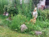 Parduodamas jaukus sodo sklypas su 2-jų - nuotraukos Nr. 6