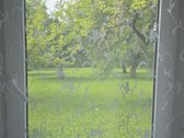 Parduodama Jauki Sodyba Ukmergės Rajone - nuotraukos Nr. 11