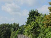 Parduodama Jauki Sodyba Ukmergės Rajone - nuotraukos Nr. 14