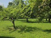 Parduodama Jauki Sodyba Ukmergės Rajone - nuotraukos Nr. 16