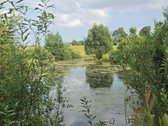 Parduodama Jauki Sodyba Ukmergės Rajone - nuotraukos Nr. 17