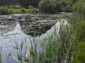 Parduodama Jauki Sodyba Ukmergės Rajone - nuotraukos Nr. 18