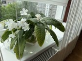 Parduodamas šviesus ir funkcionalus butas J. - nuotraukos Nr. 18