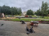 Nuomojamos patalpos naujame „Medeinos namai“ - nuotraukos Nr. 16
