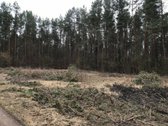 Parduodamas išskirtinis sklypas šalia - nuotraukos Nr. 10