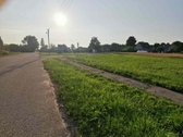 Namui reikalinga renovacija.yra ūkiniai pasatatai. - nuotraukos Nr. 2