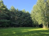 Parduodami 4 Namų Valdos Paskirties Žemės - nuotraukos Nr. 13