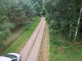 Gražioje vietoje parduodamas 50 arų namų - nuotraukos Nr. 4