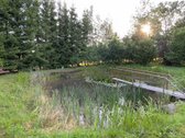 Parduodama tvarkinga ir prižiūrėta sodyba, - nuotraukos Nr. 11