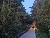 ? Jūsų poilsio oazė Palangoje! Parduodami - nuotraukos Nr. 20