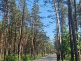 ? Jūsų poilsio oazė Palangoje! Parduodami - nuotraukos Nr. 21