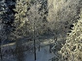 Šviesus 3 kambarių butas ramioje vietoje, - nuotraukos Nr. 10