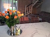 Parduodamas namas netoli Mažeikių(sodai - nuotraukos Nr. 13