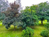 Naujas Dveijų Kambarių Buto Pasiūlymas - nuotraukos Nr. 6