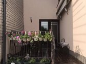 Nuomojamas 1 kamb.butas nuosavoje valdoje. - nuotraukos Nr. 15