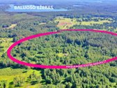Parduodama Sodyba Su 2ha Žemės Sklypu – - nuotraukos Nr. 9