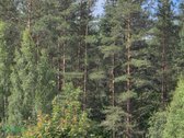 Parduodama Sodyba Su 2ha Žemės Sklypu – - nuotraukos Nr. 10