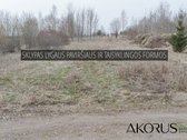 Verta Žinoti - nuotraukos Nr. 8
