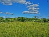 Parduodamas 0,84 ha žemės sklypas yra ant - nuotraukos Nr. 4