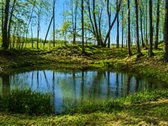 Parduodama Išskirtinė Sodyba Su 1,25 Ha Namų - nuotraukos Nr. 9