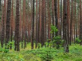 Kviečiame Į Atvirus Namus Rugpjūčio 5 D. - nuotraukos Nr. 22