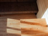 Parduodamas 7,23 aro sklypas su naujai - nuotraukos Nr. 19
