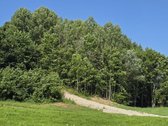 Parduodami 4 Namų Valdos Paskirties Žemės - nuotraukos Nr. 27