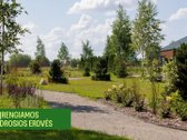 Pavasariai - Naujos Kartos Vilniaus - nuotraukos Nr. 23