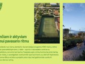 Pavasariai - Naujos Kartos Vilniaus - nuotraukos Nr. 28