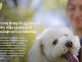 Pavasariai - Naujos Kartos Vilniaus - nuotraukos Nr. 35