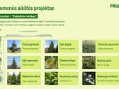 Pavasariai - Naujos Kartos Vilniaus - nuotraukos Nr. 39