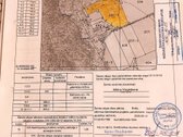 Vos 30 minučių nuo Kauno važiuojant link - nuotraukos Nr. 6